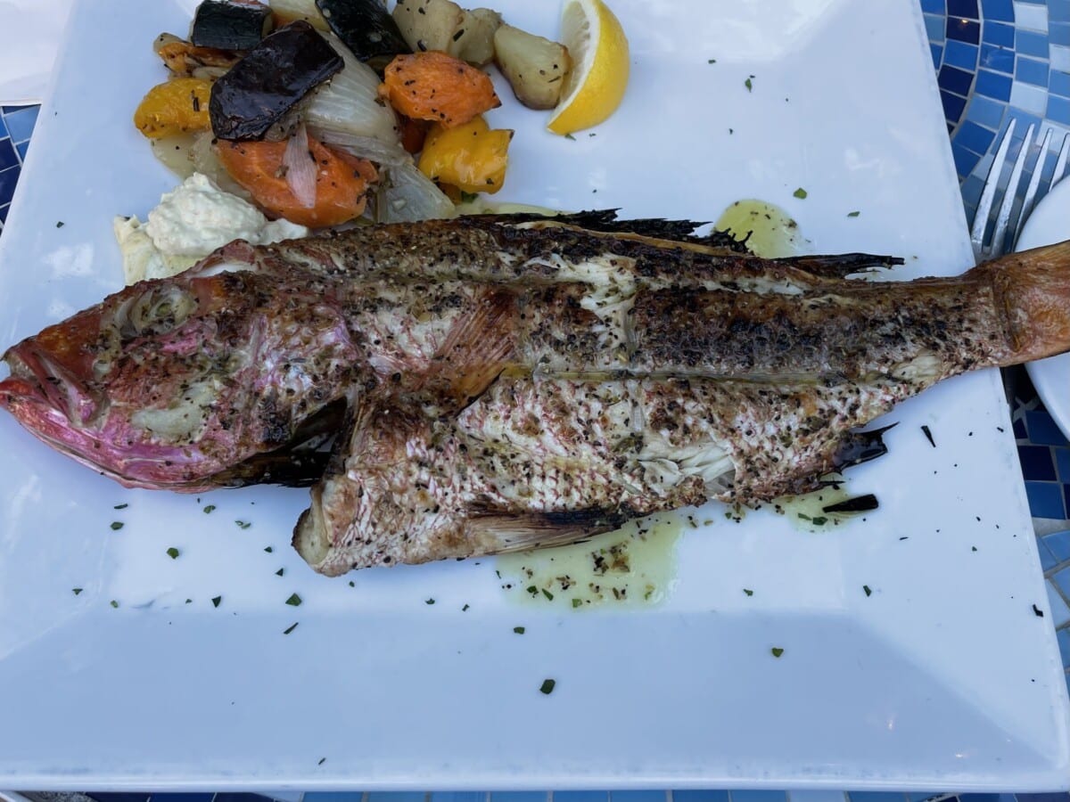 The whole roasted red snapper is excellent at the Black Olive.