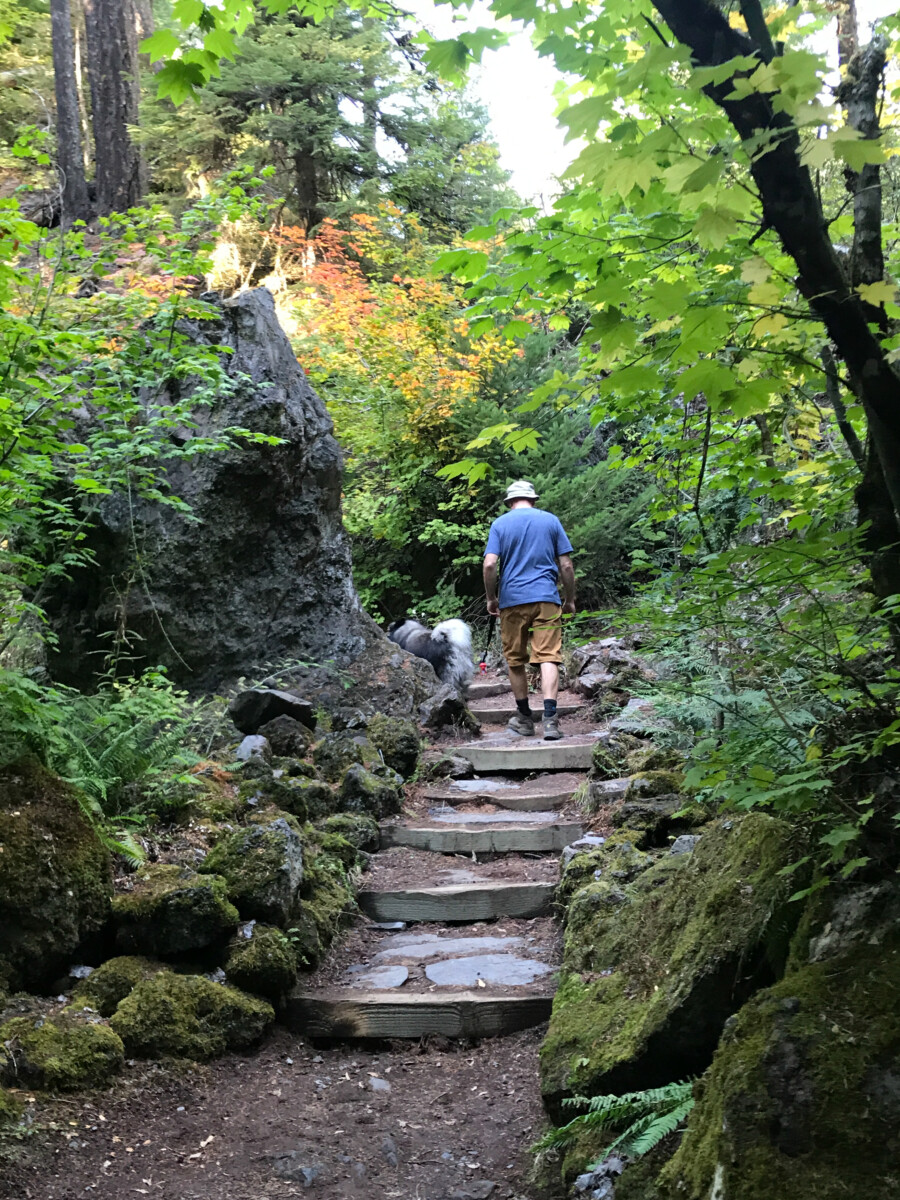 Hiking in Willamette Valley.