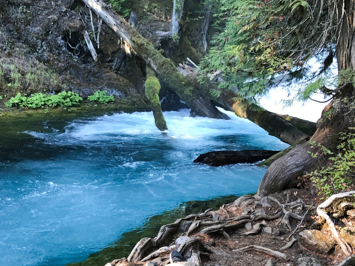 The McKenzie River in Willamette Valley.