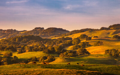 Off the Beaten Path: California Gold Country