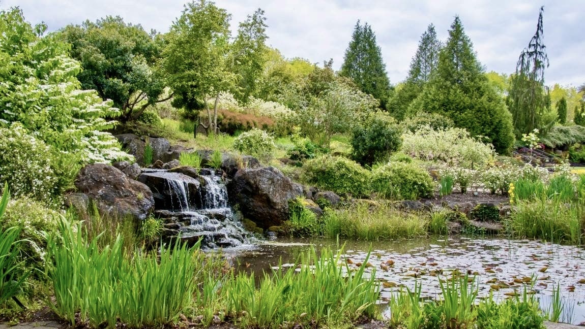 Oregon Garden on the Marion Farm Loop