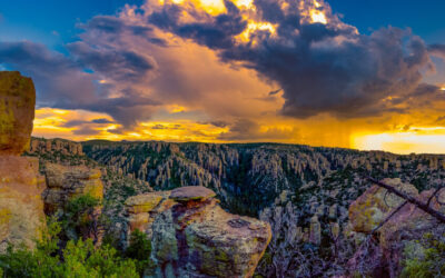 Explore Arizona’s Largest Sky Island at Chiricahua National Monument