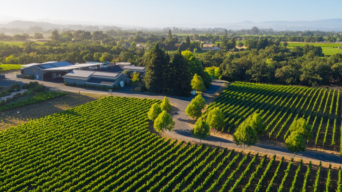 Santa Rosa wineries.