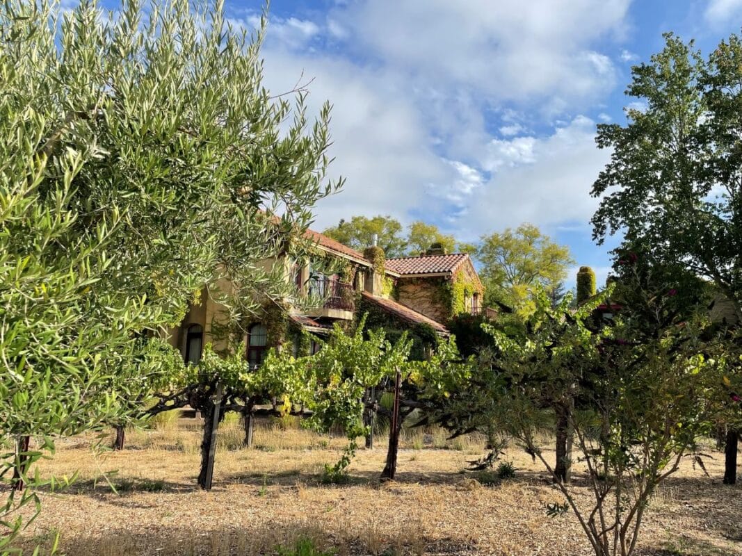 Santa Rosa wineries