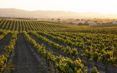 Discovering San Luis Obispo