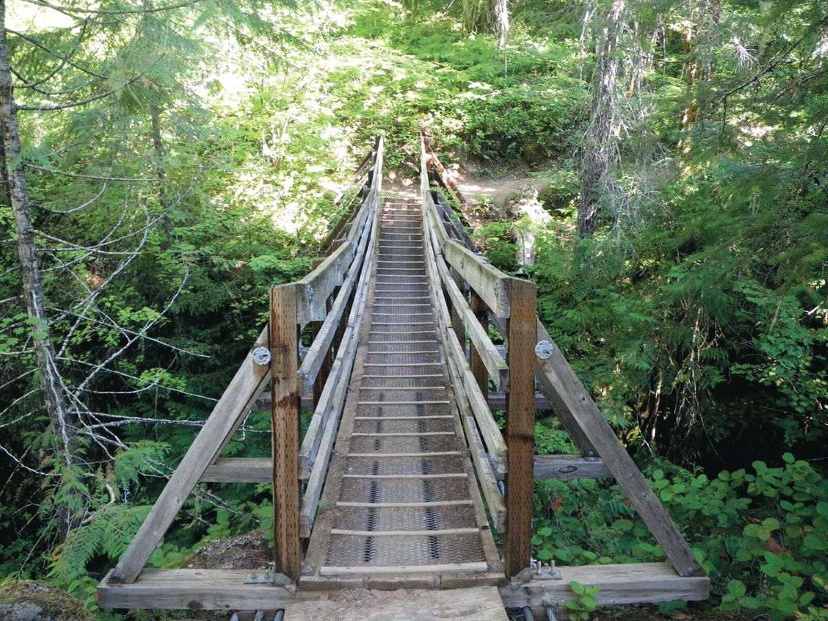 Footbridge near Falls Creek Falls and the Columbia River Gorge cabin.