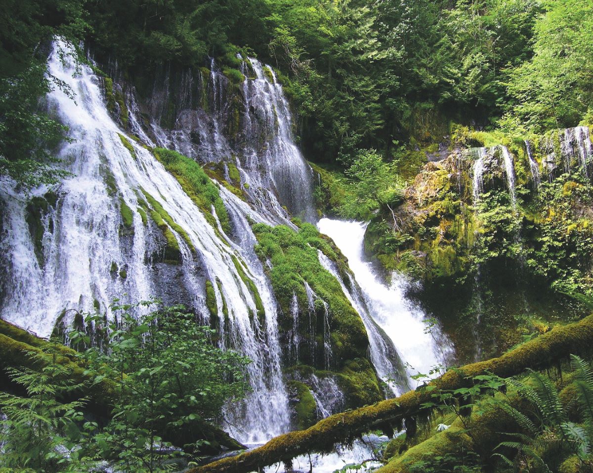 Panther Creek Falls
