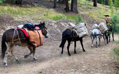 Backcountry Glamping in Oregon