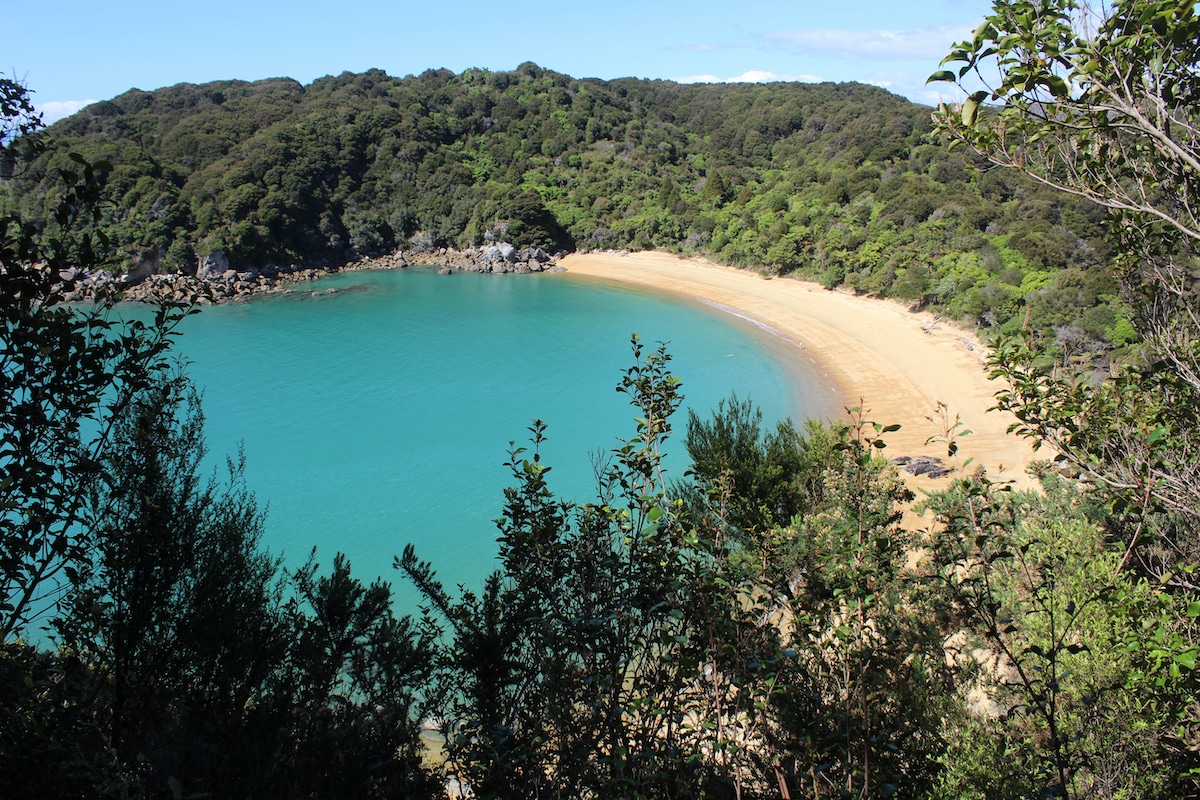 The view from high above Abel Tasman.