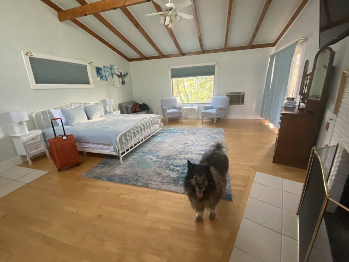 Rudy checks out our suite at Gardenview.