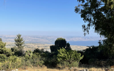 Relax at Mitzpe Hayamim While Exploring Northern Israel