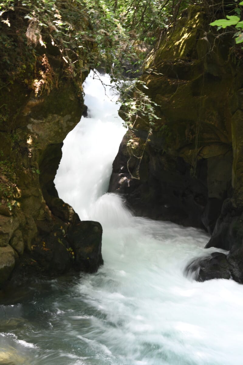 Herman Stream Nature Reserve Waterfall.