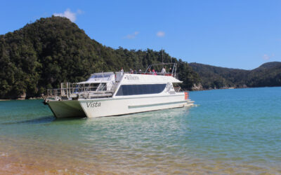 Exploring Nelson, New Zealand