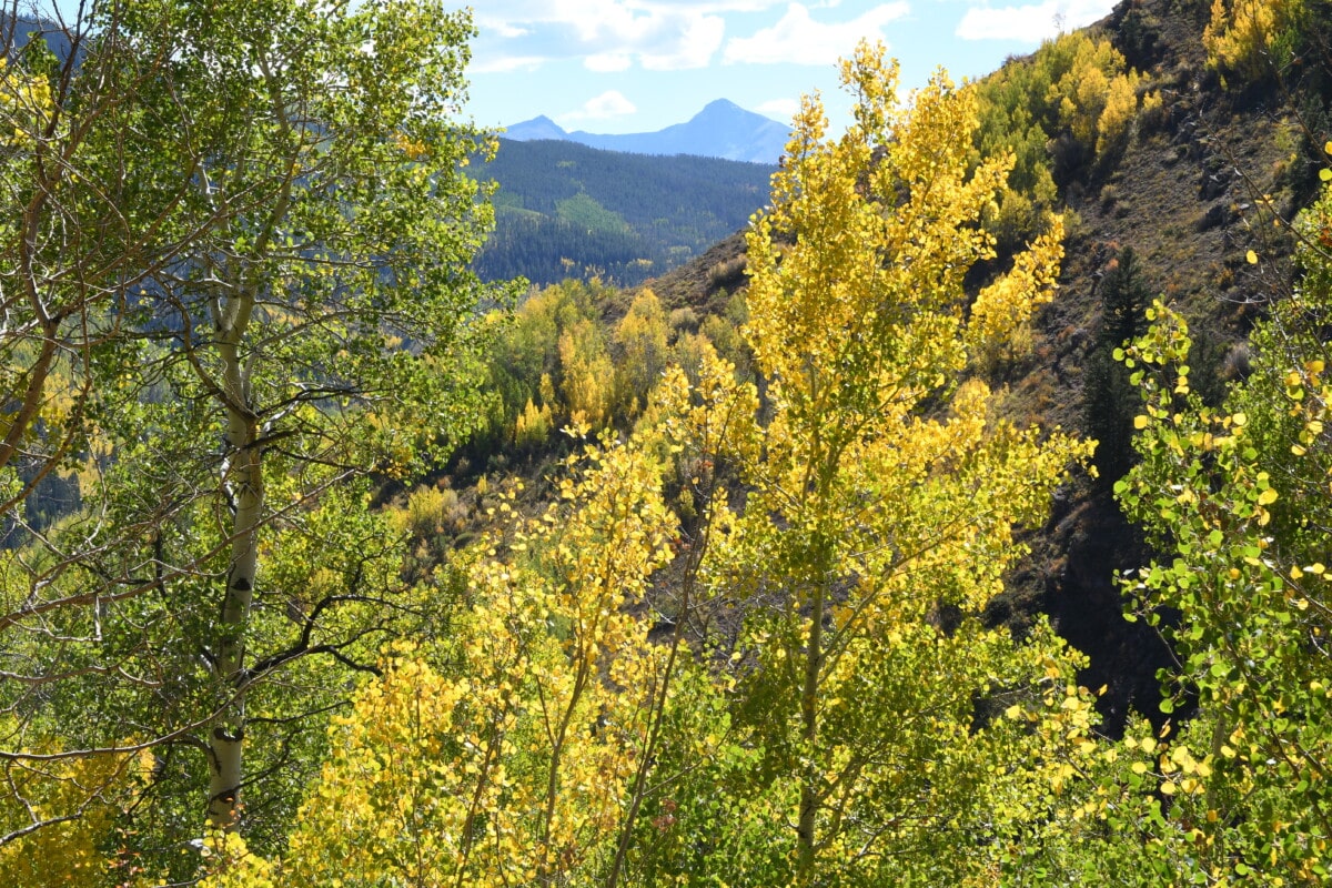 The fall is a fantastic time to visit Vail, Colorado, and go fly fishing.
