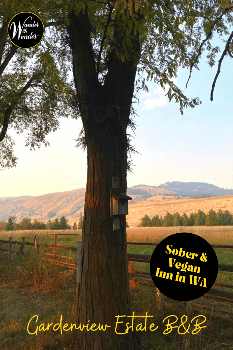 Gardenview Estate B&B in Washington offers a refuge for sober travelers. Get close to nature and yourself at this vegan inn.