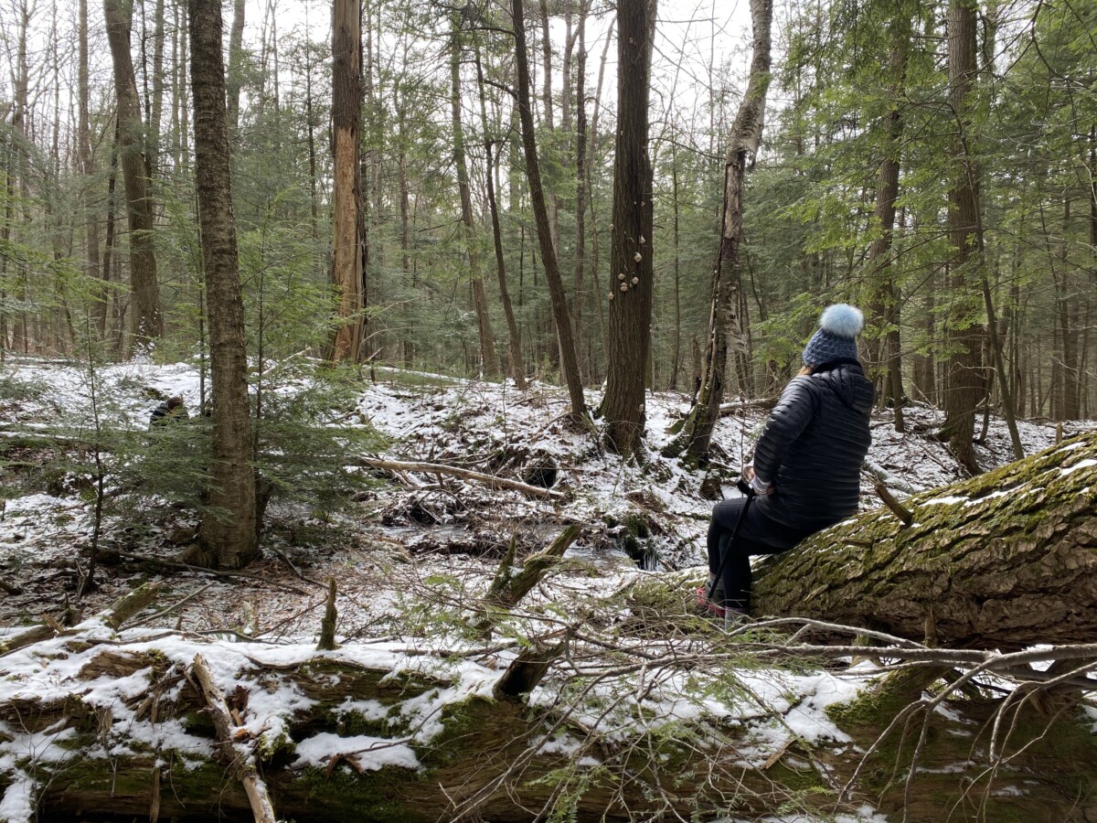 Pausing for a mindfulness exercise.