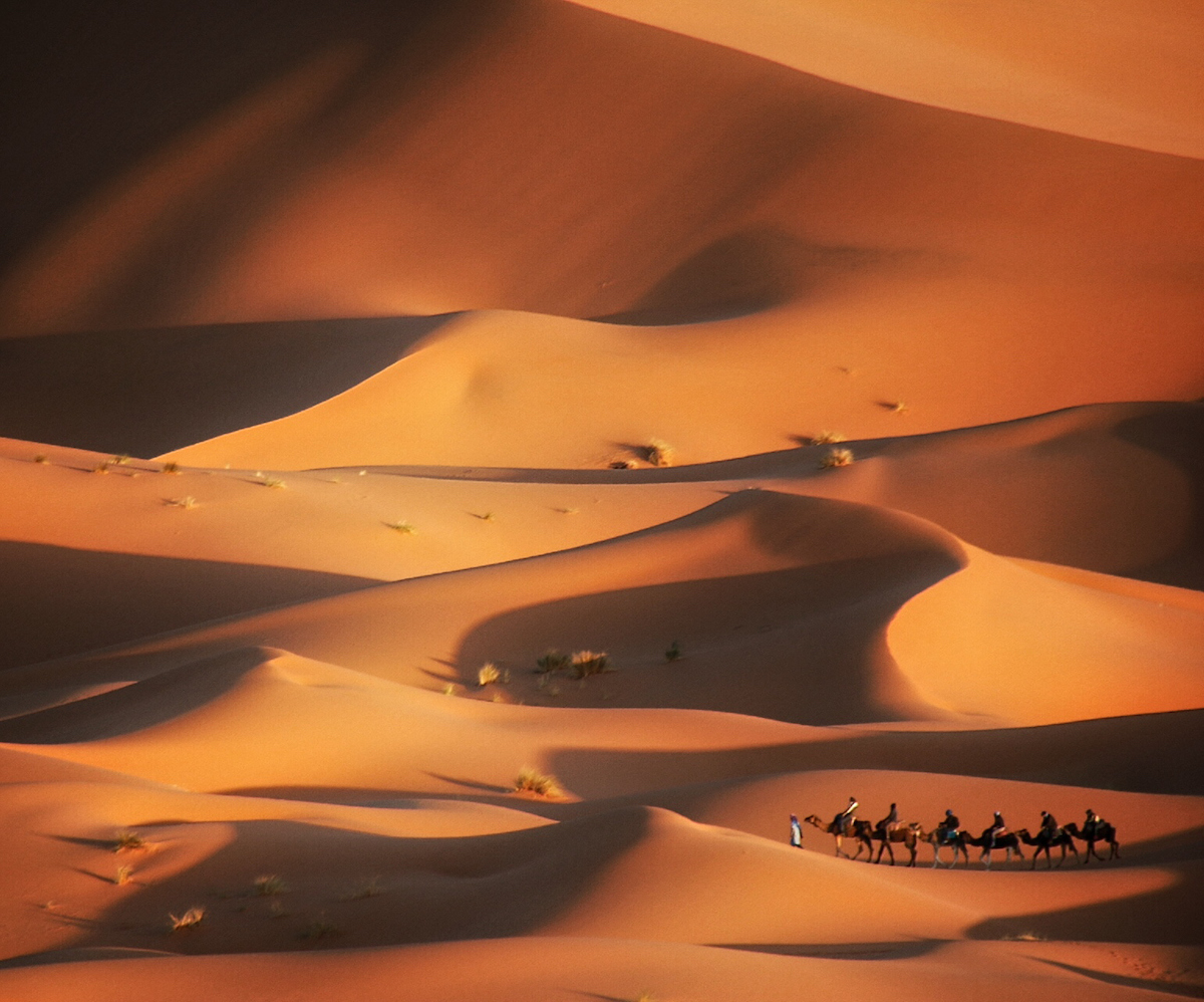 Dunes of Merzouga Morocco