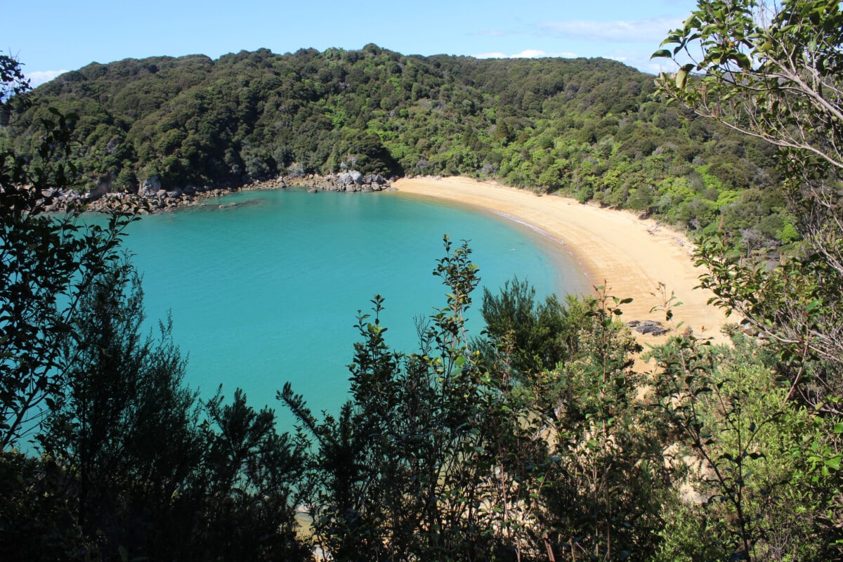 Abel Tasman.