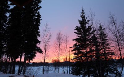 Discover Winter Magic and Food in Fairbanks, Alaska