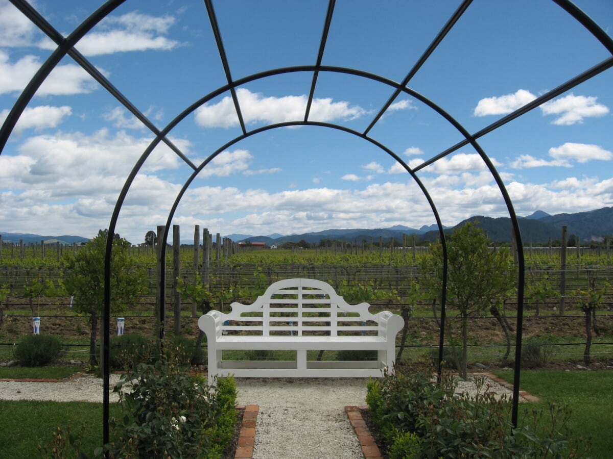 I love the vineyard view at Hans Herzog winery, which makes a fabulous New Zealand wine.