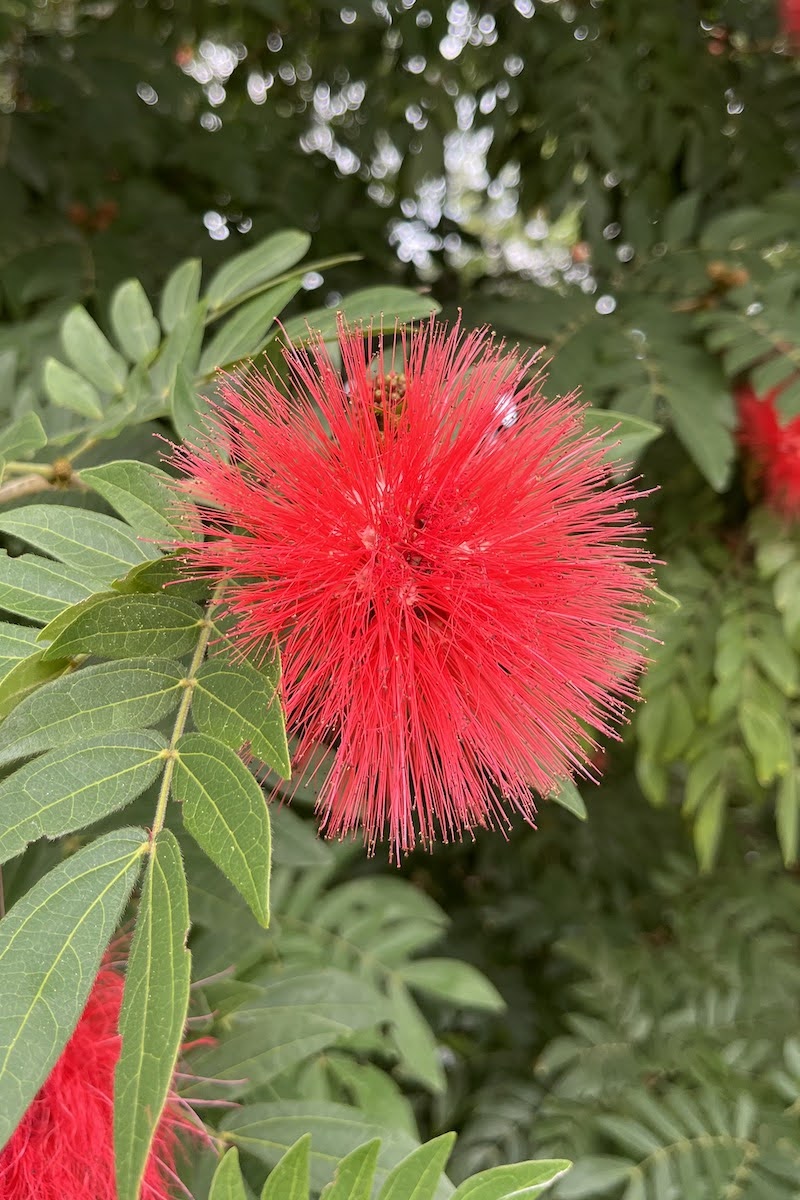 Taking a vacation can mean slowing down to see the beauty of nature around you.