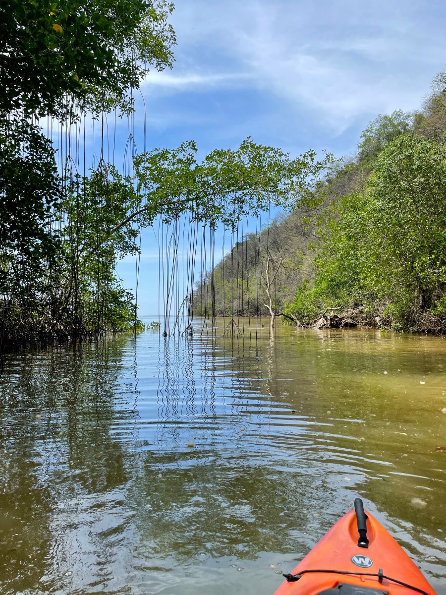 Kayaking the OSO River looking for crocodiles.