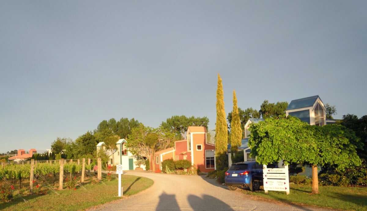 Margrin Vineyard.