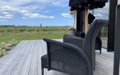 Exploring New Zealand Wine Regions