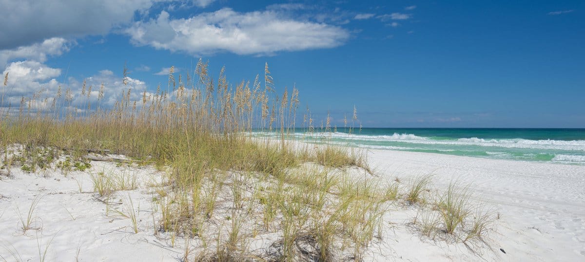 Winter Day Pensacola Beach Top Reasons Pensacola is the Perfect Winter Getaway My husband and I have, in recent years, become snowbirds of sorts. What started as a long weekend during the holidays has turned into two or three weeks or more in a warm and sunny winter location. Like most “snowbirds” getting out of the cold is the main reason for “flying south for the winter”. In Pensacola, the winter months (Nov-Feb) are typically mild to warm, with temperatures ranging from the mid-'60s to the low-'70s. But, with the sun shining most days, it can feel warmer. During our most recent mid-December visit, I rarely wore more than long sleeves or a light windbreaker. In addition to the warm climate, here is our list of why Pensacola, Florida, “The Way To Beach”, is the perfect place for a winter getaway. Pensacola's Beaches Are World-famous and Historic Just over the bridge from downtown Pensacola, Pensacola Beach is home to 18 miles of the most amazing fine-quartz white-sugar sand beaches and clear emerald-green water. We've been to a lot of beach locals and I've got to say that without a doubt, Pensacola beaches are some of the best I've ever experienced. Pensacola Beach has tons of public access including within the Gulf Islands National Seashore and Langdon Beach. Stretching out 1,471 feet over the water Pensacola Beach Fishing Pier has something for everyone. The pier is the perfect place to fish, stroll, or just sightsee. Along with some great fishing, the pier is great for bird and marine life watching. It is also the best vantage point for some of the greatest sunsets on Pensacola Beach! Oh, and if you're lucky you might even see the Blue Angels practicing or just doing a fly-by to say hello. Picturesque and Walkable Downtown Downtown Pensacola is picture-perfect. There is an exciting array of shops including restaurants, bars, boutiques, and galleries. In fact, Palafox Street was named one of “America’s Top 10 Streets” by the American Planning Association. You will find Palafox (and surrounding streets) has a very “French” old-world feel, reminiscent of New Orleans, with wrought iron balconies, outdoor dining, and music wafting through the air. It is also very walkable. I'd even suggest that walking is the best way to experience the historic downtown area. Dis You Know That Pensacola Is America's First Settlement? While downtown, be sure to take a walk on (at least part of) America's First Settlement Trail, a three-mile marked path through downtown and the Historic District. There are 20 stops and over 70 points of interest along the Trail, in which you'll discover over 260 years of history, learn of Pensacola's humble beginnings, and how it became the vibrant city it is today. Winter Is The Perfect Time To Visit Pensacola History Museums Being the first settlement in America (c.1559) Pensacola has a lot of history. It is nicknamed "The City of Five Flags", due to the five governments that have ruled it during its history--Spain, France, Great Britain, the Confederate States of America, and the United States of America. The best place to learn more about Pensacola's colorful history is at the Museum of History, which is housed in the three-story Mediterranean Revival architecture of the former Pensacola City Hall (c.1907).  Just behind the Museum of History on 8.5 acres sits Historic Pensacola Village, dating back to the early 1800s. Visitors can take a guided Historic House Tour which goes through the Lavalle House (1805) Old Christ Church (1832), the Dorr House (1871), and the Lear/Rocheblave House (1890). A self-guided tour of the Village includes the Museum of Commerce and the Museum of Industry (my personal favorite), in addition to the historic buildings above. The Pensacola Museum of Art is another fantastic museum. Centrally located in Pensacola's historic downtown district, it's housed in the old 1906 City Jail. The two-story museum is filled with multiple arts exhibits both permanent and rotating. Note: If you are a museum lover, take advantage of the seven-day ticket which gains you entrance to all the downtown Pensacola museums. Keep in mind that the museums are all closed on Mondays and only the Museum of History, the Children's Museum, and the Museum of Art are open on Sundays from noon to 4:00.  Wintertime Hiking In Pensacola Is Exhilarating  To be sure, you won't be scaling mountain tops or crossing massive gorges but then you won't have any expensive hiking equipment to buy either. Most trails on the Florida Panhandle are flat and easy--along the beach, through bayous, and across prairie lands. Big Lagoon State Park, approximately 10 miles southwest of Pensacola, offers five miles of hiking trails through nearly 700 acres of saltwater marshes and pine flatwoods. It is also the gateway to the Great Florida Birding Trail. At Perdido Key State Park 'hiking” is mainly along the beach. A boardwalk from the parking lot crosses over the dunes to the beach. Shelling and bird watching are popular activities at the park during the winter months.Tarkiln Bayou Preserve State Park offers two trails--A half-mile ADA-accessible trail of sidewalk and elevated boardwalk meander through prairie, cypress, and titi forests and a more rugged 6.5-mile trail that crosses muddy areas as it makes its way through the oaks and pines to the Bayshore beach. Winter is the Perfect Time to Explore History at Fort Pickens On the western tip of Santa Rosa Island, part of the Gulf Islands National Seashore stands Fort Pickens. This national park offers year-round outdoor activities including beautiful beaches, overnight camping, and scenic hiking trails trails, Fort Pickens Trails and the Naval Live Oaks Area. The massive pre-Civil War fortress built in 1834, once housed Union troops and the Apache leader Geronimo. Park rangers offer free tours daily or you can immerse yourself in a self-guided tour. Pro Tip: You could easily lose yourself exploring Fort Pickens--expect to spend several hours at least. Be sure to stop in at the Fort gift shop for one-of-a-kind treasures to bring home. Experience The Diverse Arts and Culture Scene Pensacola has a charming, quaint feel. But when it comes to arts and entertainment, this coastal city knows how to make quite a scene. Pensacola is the only city from Tampa to Mobile, Alabama to host such a diversity of cultural experiences. The city boasts the Pensacola Opera, the Pensacola Symphony Orchestra, Ballet Pensacola, and the historic Saenger Theatre all within the downtown historic district. Note: Any one of these venues is a great way to spend a chilly winter afternoon or evening. There are exceptional shows scheduled at each throughout the winter months. Be sure to check their individual schedules in the links above.   Winter Spells Festival Time in Pensacola Drawing more than 200 regional and international artists, the Great Gulf Coast Arts Festival is held annually in early November in Seville Square. Each Veteran's Day Weekend locals and visitors alike look to the skies at the Blue Angels Homecoming Airshow. Also in November is the Foo Foo Fest, a “big fun” 12-day celebration with an eclectic line-up of events of high artistic and cultural caliber, delivered with a hefty dose of Southern sophistication.  A popular, family-favorite annual event that starts in November and runs throughout December, the Winterfest and Trolley Tours draws both locals and visitors from afar. Stroll about the plazas around the Old County Courthouse, watch the “snow” fall in the evening sky, drink hot chocolate and eat gingerbread cookies, and even meet Santa and Rudolph. The ever-anticipated, entertaining, and fun Trolley Tours are a “Must-Do”.  Everyone Loves Mardi Gras  The iconic Mardi Gras celebration returns to Downtown Pensacola, as the largest street party to feature live music, food and drinks, and free public access to the vibrantly decorated Mardi Gras floats, making it the must-attend event of the season. Mardi Gras runs from the first Friday in January until Fat Tuesday. Come February, visitors can experience the most extravagant parades of the season with the Pensacola Grand Mardi Gras Parade downtown, the Pensacola Beach Mardi Gras Parade, followed by the Krewe of Lafitte’s Illuminated Parade. The Pirates of Lost Treasure host their own unique Mardi Gras celebration with the Pirate Flotilla – an annual floating boat parade that travels down the Intracoastal Waterway in Perdido Key. Are you a Comic Book Fan? Part short film festival, part celeb meet and greet, drawing thousands of attendees from around the world, Pensacon is the premier comic book and pop culture convention held each February for a span of three days. NOTE: Arrive early and expect traffic delays for ALL events. Allow extra time if you have to cross any of the bridges to get to an event. If you're staying in or near downtown we suggest leaving your vehicle parked and walking to the downtown events. With so many winter activities in Pensacola, once you arrive you won't want to leave.