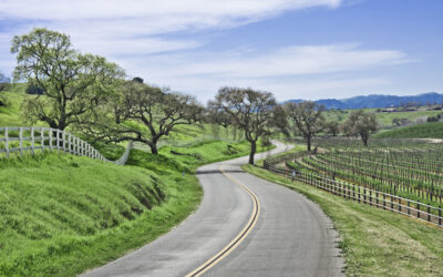 The Best of the Santa Ynez Valley Restaurant Scene
