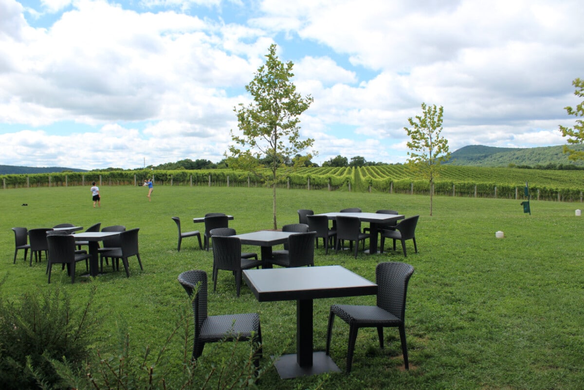 Big Cork Vineyards.