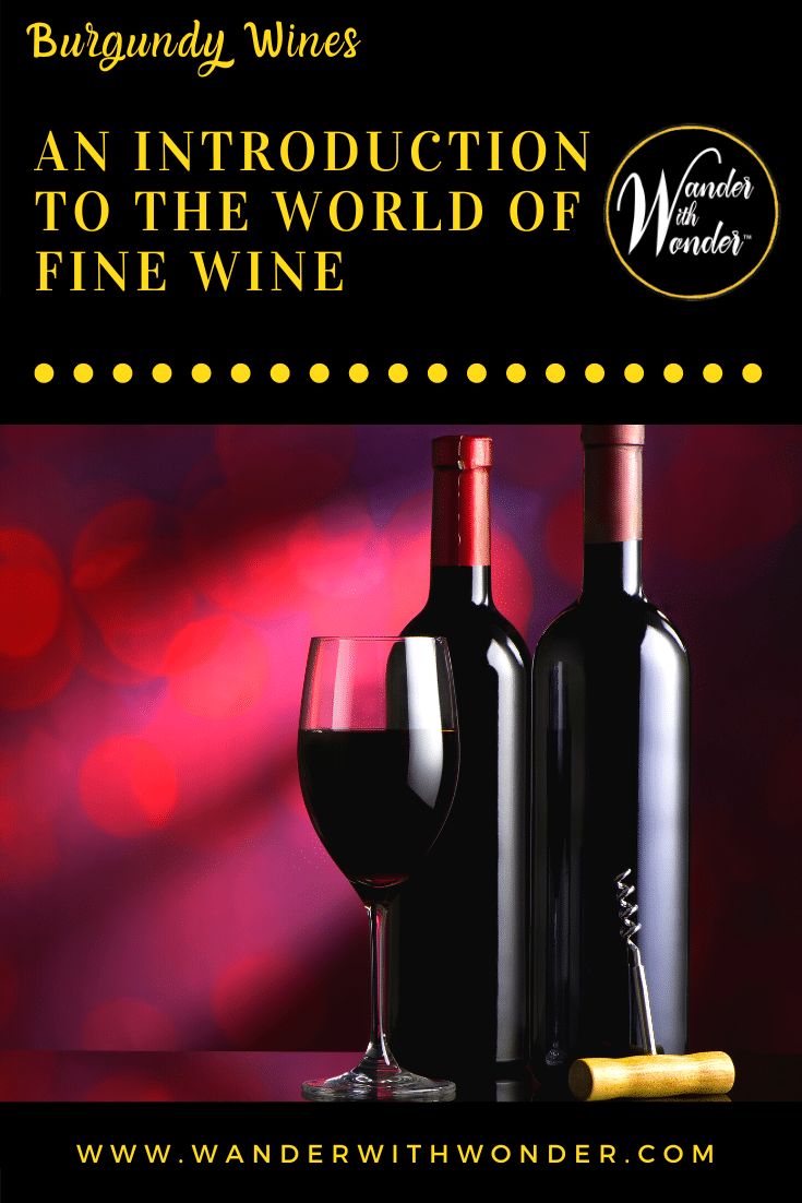 Burgundy wines are among the most celebrated and prestigious worldwide, known for their elegance, complexity, and finesse. Here is what you need to know to experience Burgundy wines.