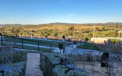 Weekend Getaway to Sample Wine in Valle de Guadalupe