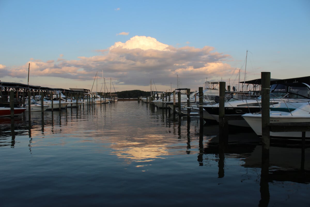 Explore Upper Chesapeake Bay.