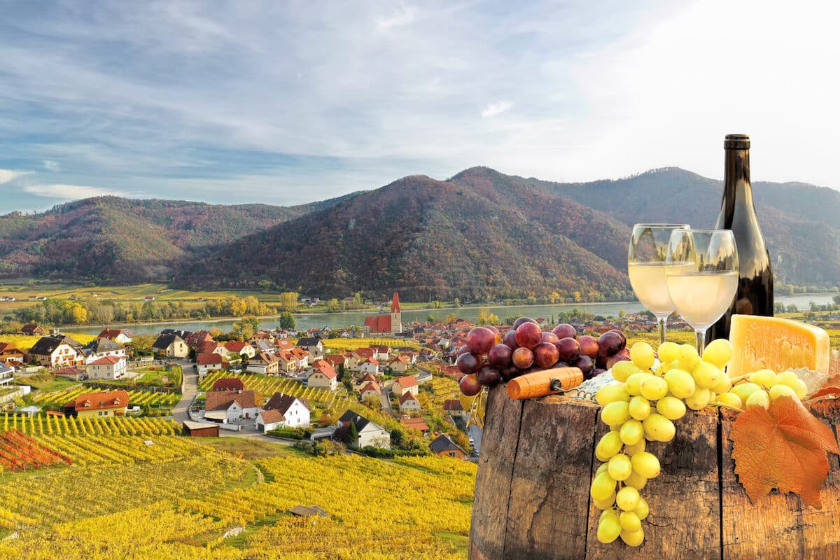 Austrian wines