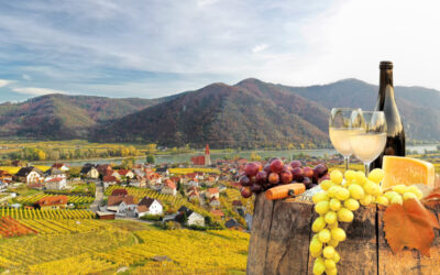 Visiting Austria’s Female Winemakers