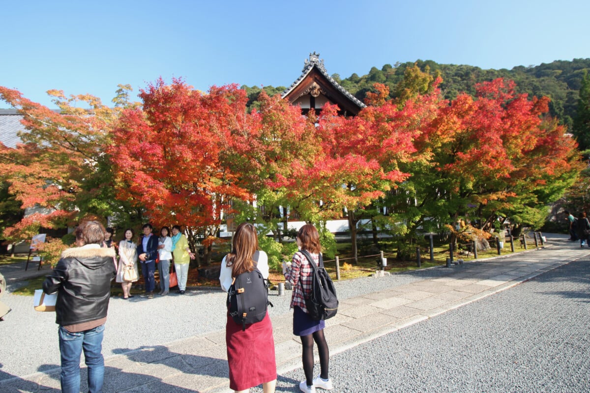 We weren't the only ones gawking at the maples in their fall colors. Many Chinese tourists were at popular sites we visited in Japan in 2016 and 2018. I couldn't tell the difference but my father in law spoke with one of our cab drivers who said the Chinese outnumbered Japanese visitors to Kyoto that visit.