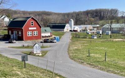 Mid-Atlantic Farm Visits: Good Food and Fun