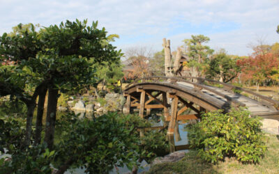 An Intimate Photo Tour of Japan