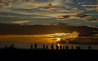 Escape to Anna Maria Island