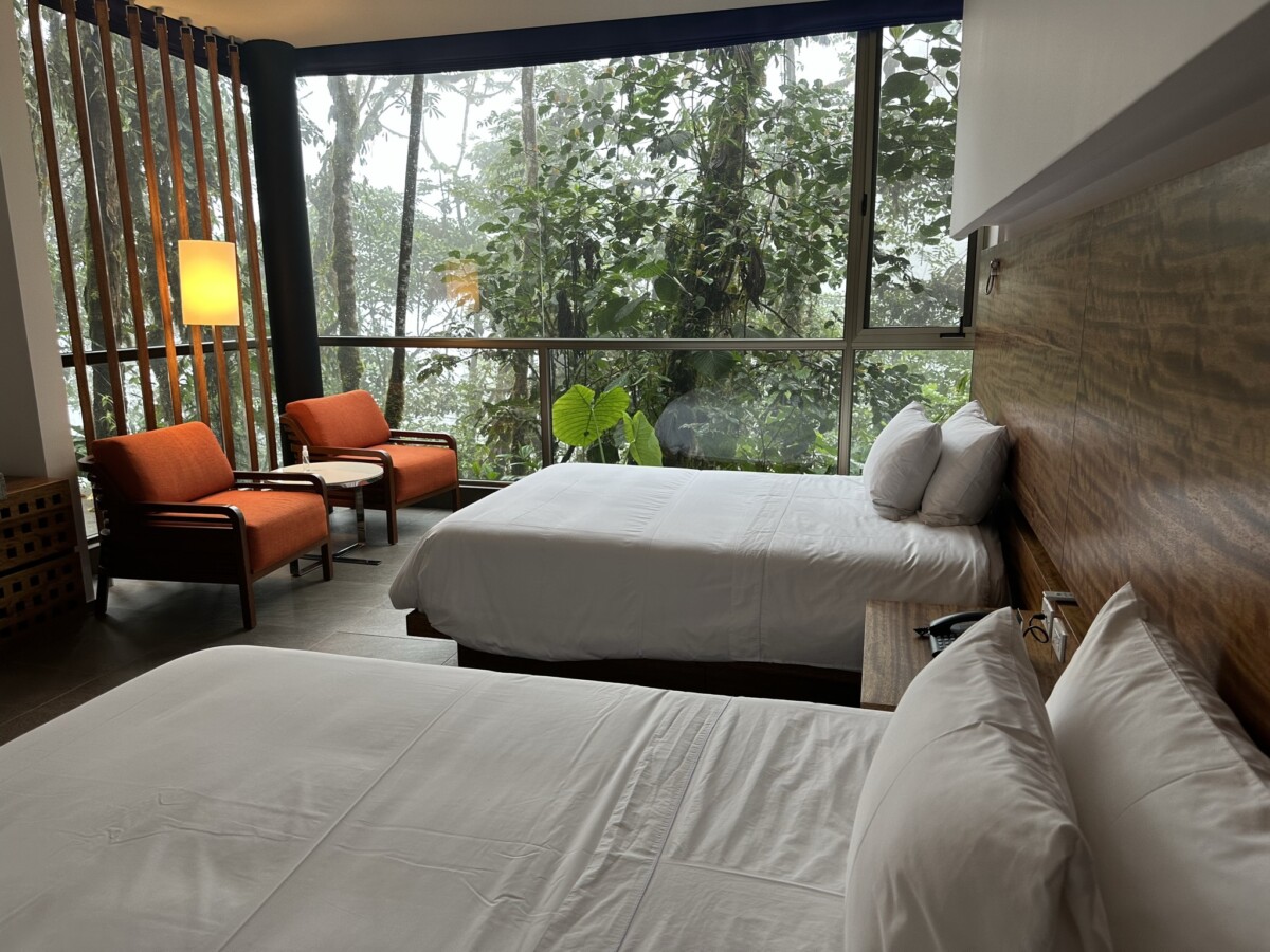 Cruising the Galapagos with Hurtigruten Expeditions 15 Room with a jungle view.