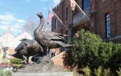 The Waterfowl Festival: Big Fun in Easton, Maryland