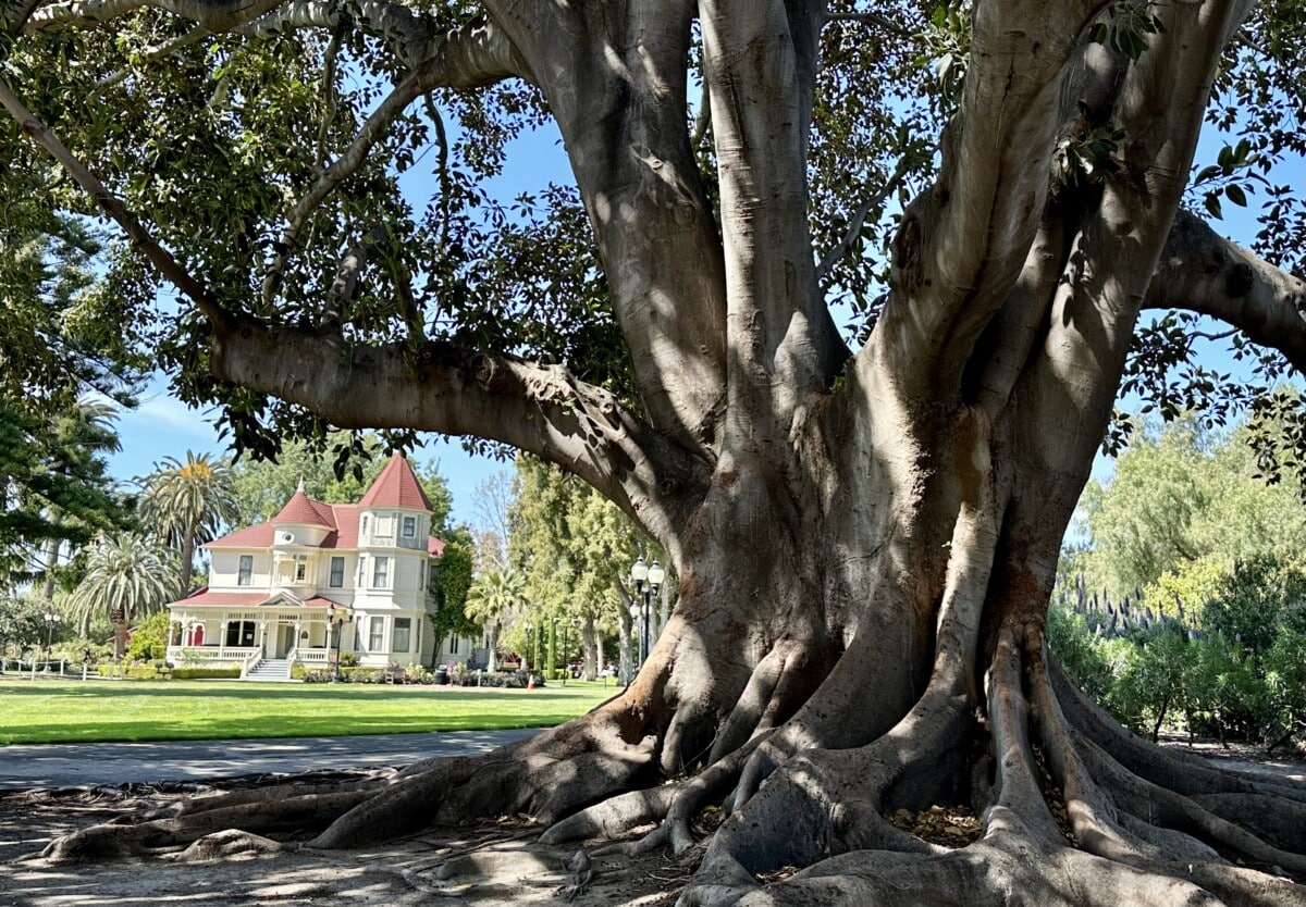 Camarillo Ranch.