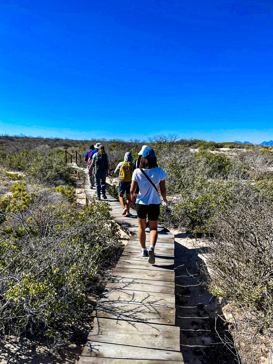 The coral dunes close to the cove are environmentally sensitive. In the Parque Nacional Bahía de Loreto, a boardwalk marks the hiking trail across the most sensitive areas. Photo by Ivette Granados