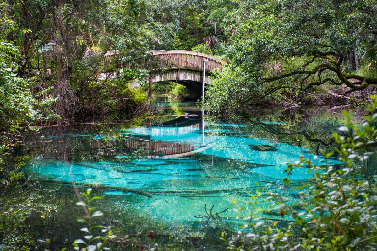 Bridge at Juniper Springs in Ocala National Forest, north of Orlando. Photo by Ryan Tishken via iStock by Getty Images