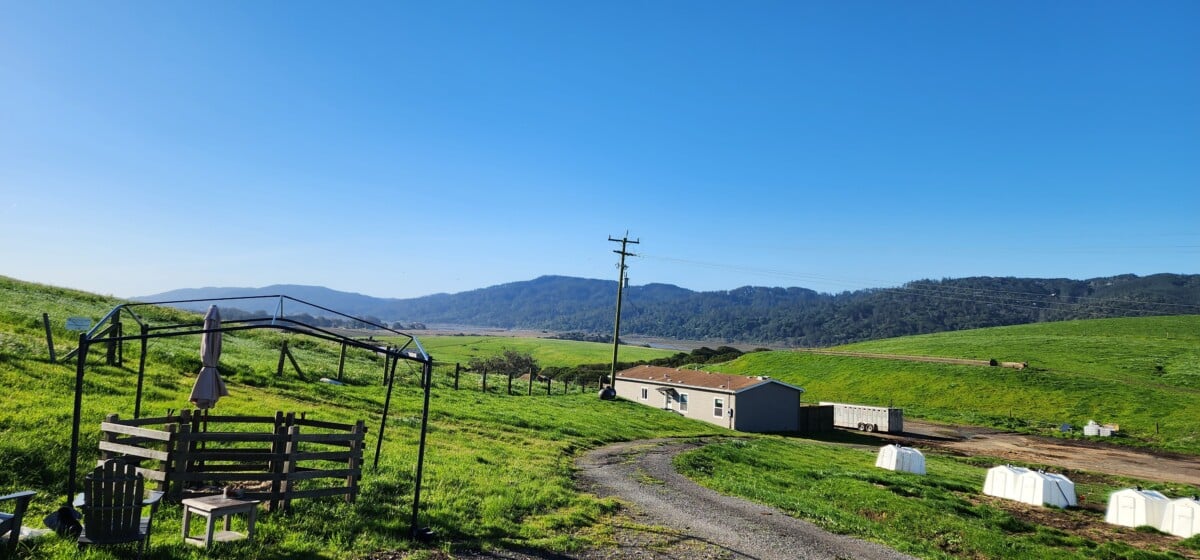 The view at Point Reyes Farmstead Cheese Co. located on the California Cheese Trail.