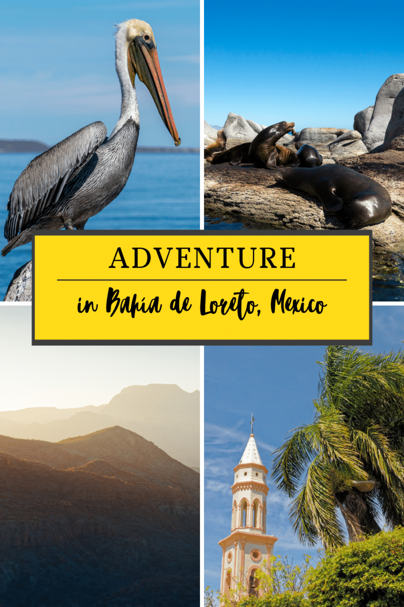Looking for an adventure in the less-traveled part of Baja California? Read on for an adventure in Bahía de Loreto, Mexico. 
