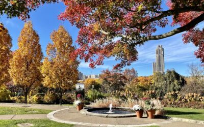 Experience Fall in Pittsburgh: Best Things to Do & See
