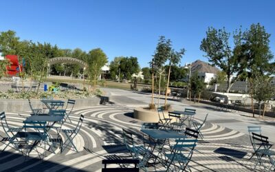 Scottsdale Civic Center Park: An Urban Desert Oasis