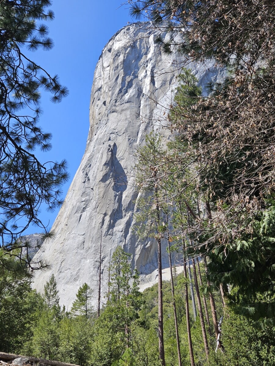 View from the bottom of El Capitan in Yosemite National Park.
